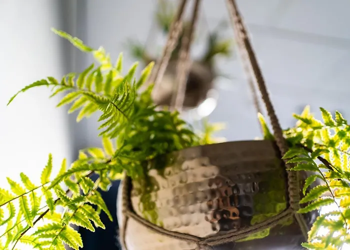 酒店 Onderwijshotel De Rooi Pannen