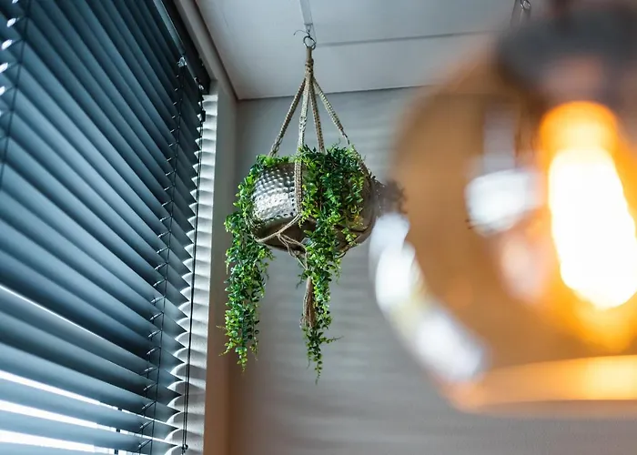 酒店 Onderwijshotel De Rooi Pannen 3*